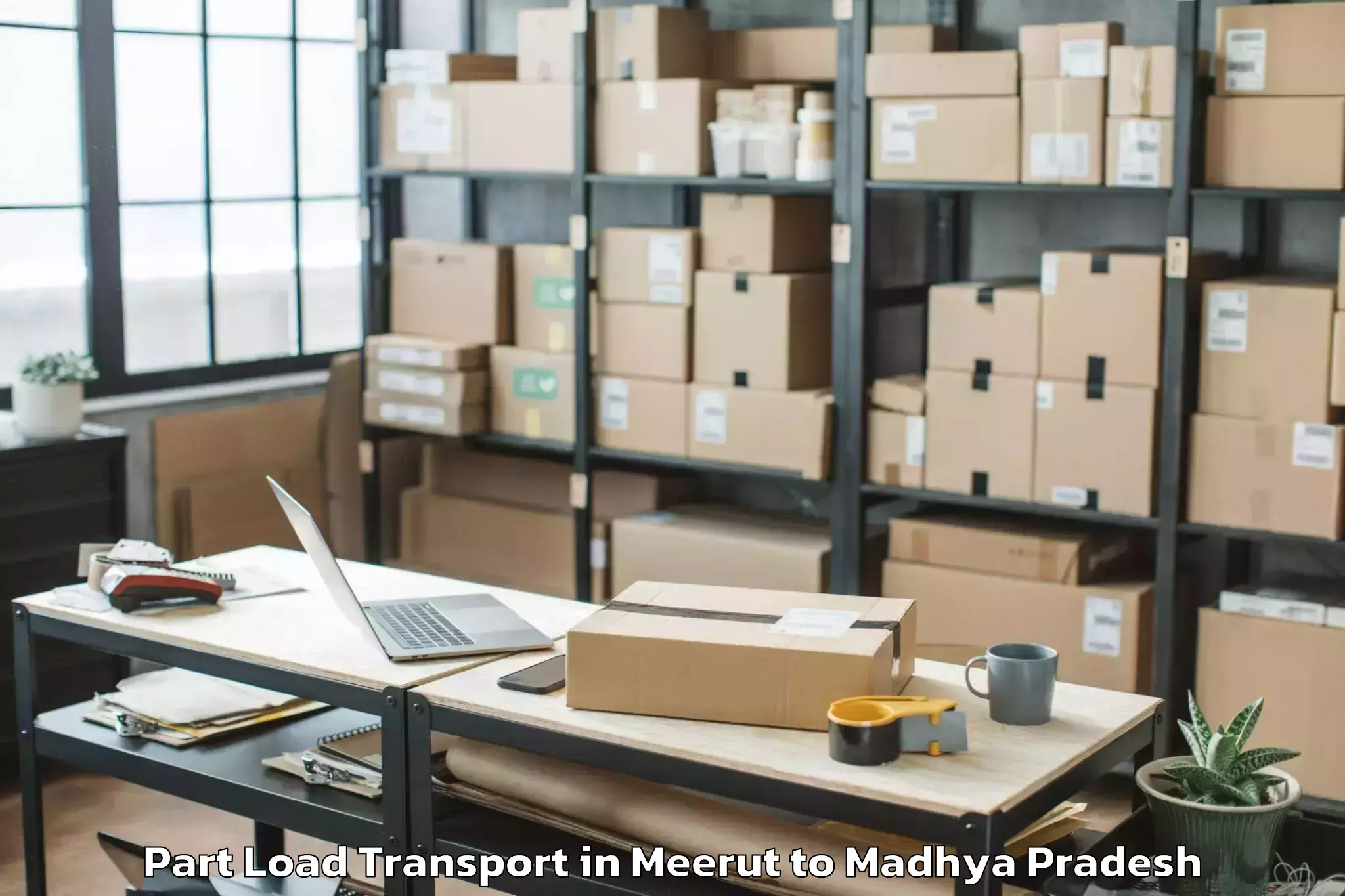 Get Meerut to Badnagar Part Load Transport